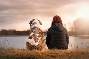 Descubre los Beneficios Sorprendentes de la Terapia Animal 8 Descubre los Beneficios Sorprendentes de la Terapia Animal