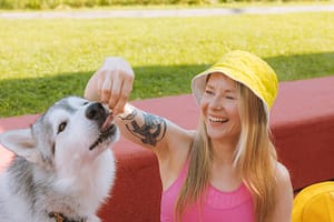 Los mejores trucos para enseñar a tu perro y fortalecer el vínculo